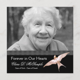 Pink Black Dove Womans Photo Funeral Announcements