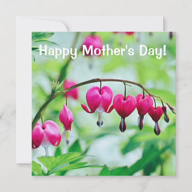 Pink Bleeding heart Flower card Mother's Day (Front)