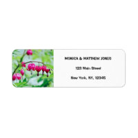 Pink Bleeding heart Flower Elegant Pretty