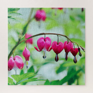 Pink Bleeding heart Flower Jigsaw Puzzle