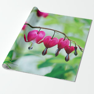 Pink Bleeding heart Flower Pretty Elegant Wrapping Paper