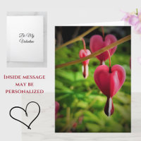 Pink Bleeding Heart Flowers Valentine's Day