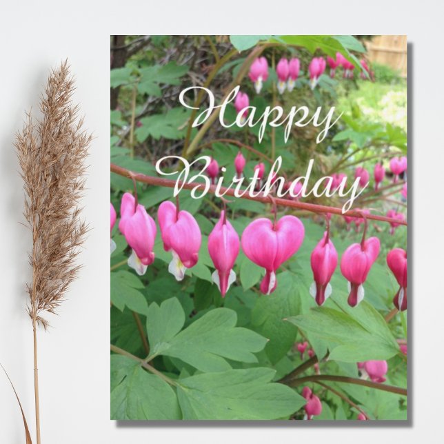 Pink Bleeding Heart Photo Birthday Postcard (Creator Uploaded)