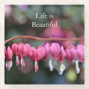 Pink Bleeding Hearts Flowers (photo by me) Glass Coaster