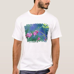 Pink bleeding hearts in garden. Credit as: T-Shirt