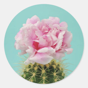 Pink Bloom Atop Spiky Cactus Classic Round Sticker