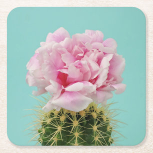 Pink Bloom Atop Spiky Cactus Square Paper Coaster