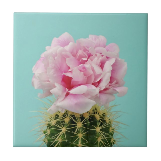Pink Bloom Atop Spiky Cactus Tile (Front)