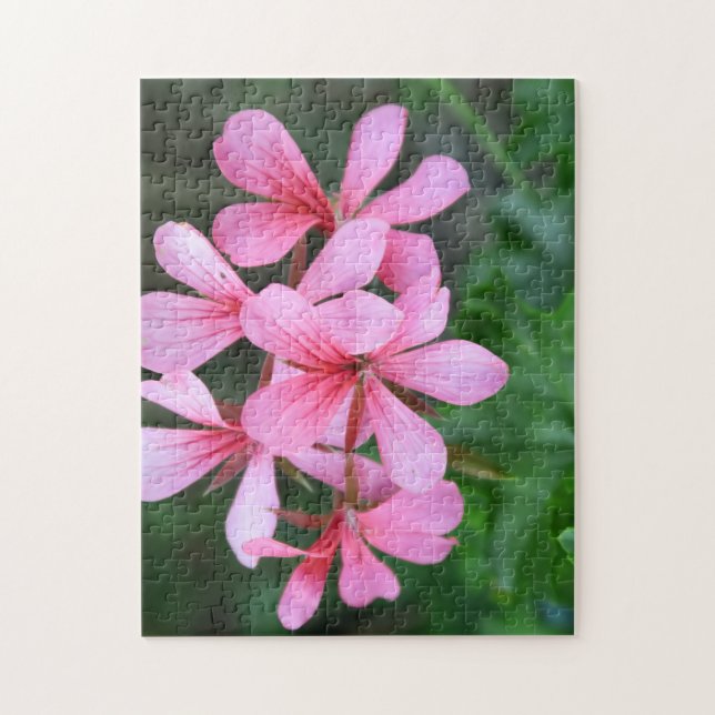 pink, bloom, flower, garden, summer, floral, natur jigsaw puzzle (Vertical)