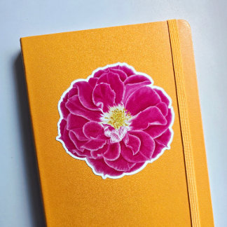 Pink Blooming Rose Botanical Art Sticker