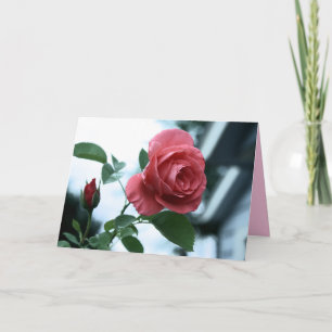 Pink Blooming Rose Happy Mother's Day Card