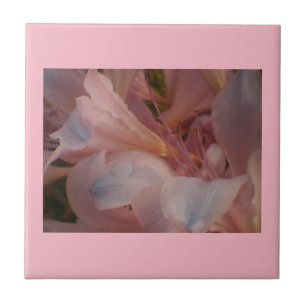 Pink Blooms Tile
