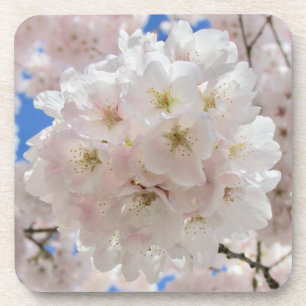 Pink Blossom Balls. Coaster