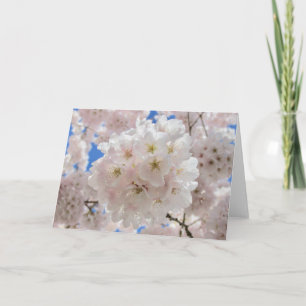 Pink Blossom Balls. Invitation
