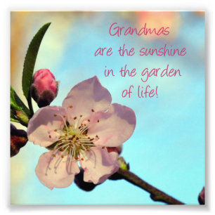 Pink Blossom "Grandmas are..." Photo Print Gift