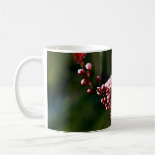 Pink Blossom in the warm summer light Coffee Mug