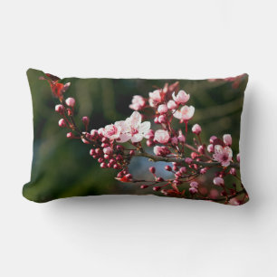 Pink Blossom in the warm summer light Lumbar Cushion