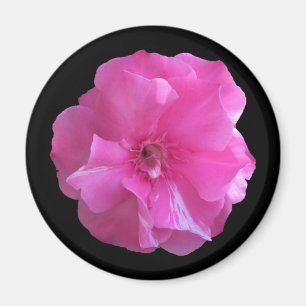 Pink Blossom Magnet