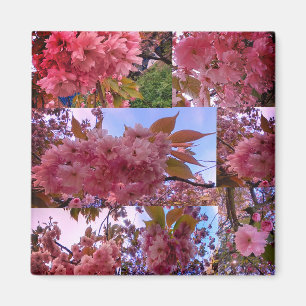 Pink blossom magnet