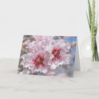 Pink Blossoms Card