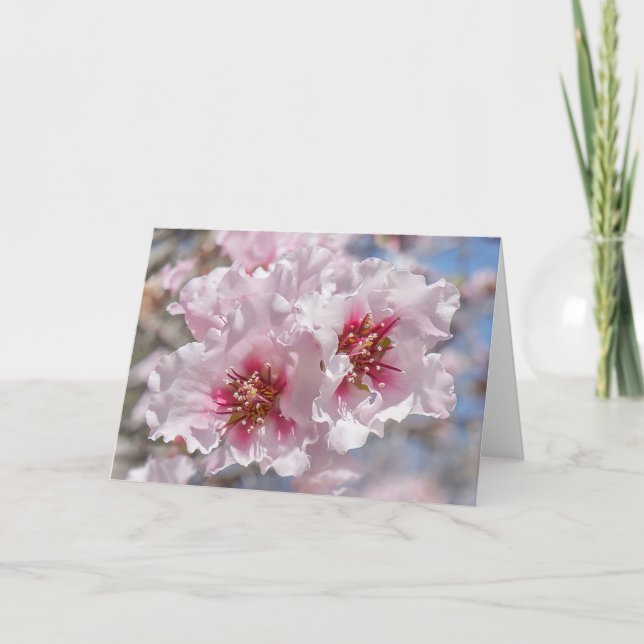 Pink Blossoms Card (Front)