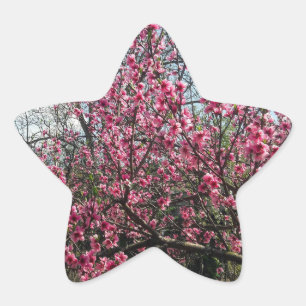 Pink Blossoms Floral Sticker