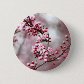 Pink Blossoms in Spring Photo 6 Cm Round Badge