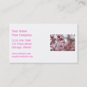 Pink Blossoms in Spring Photo Business Card