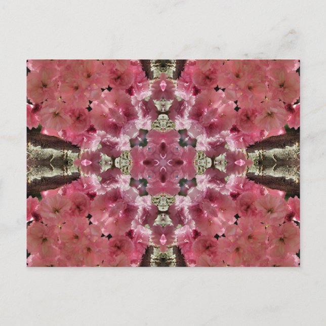 Pink Blossoms Kaleidoscope Flower Postcard (Front)