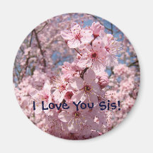 Pink Blossoms magnet I Love You Sis! mangets