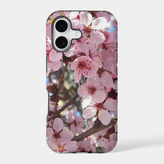 Pink Blossoms on Ornamental Flowering Tree
