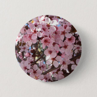 Pink Blossoms on Ornamental Flowering Tree 6 Cm Round Badge
