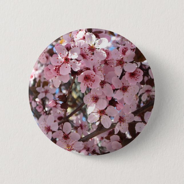 Pink Blossoms on Ornamental Flowering Tree 6 Cm Round Badge (Front)