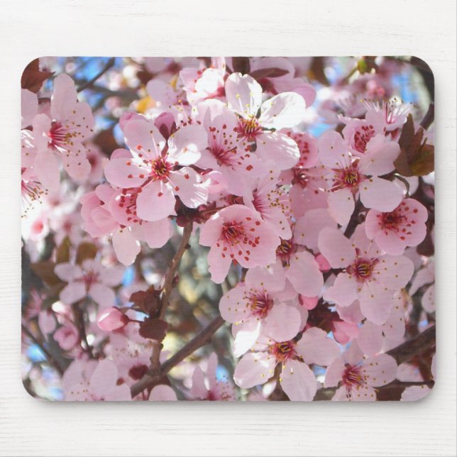 Pink Blossoms on Ornamental Flowering Tree Mouse Pad (Front)