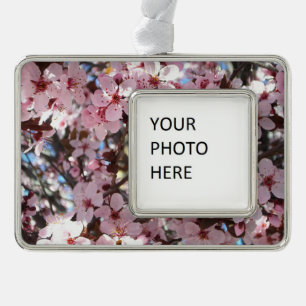 Pink Blossoms on Ornamental Flowering Tree Silver Plated Framed Ornament