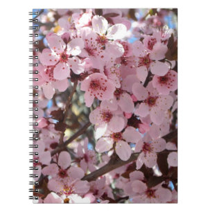 Pink Blossoms on Ornamental Flowering Tree Spiral Notebook