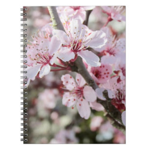 Pink Blossoms Red Stems. Notebook