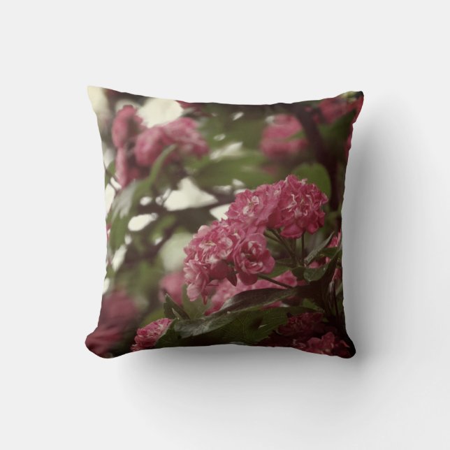 Pink Blossoms Throw Cushion 41 cm x 41 cm (Front)