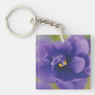 Pink & Blue African Violets Flowers Key Ring