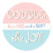 Pink & Blue Circles & Dot Twin Baby Sticker