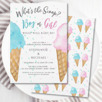 Pink Blue Ice Cream Gender Reveal Party 