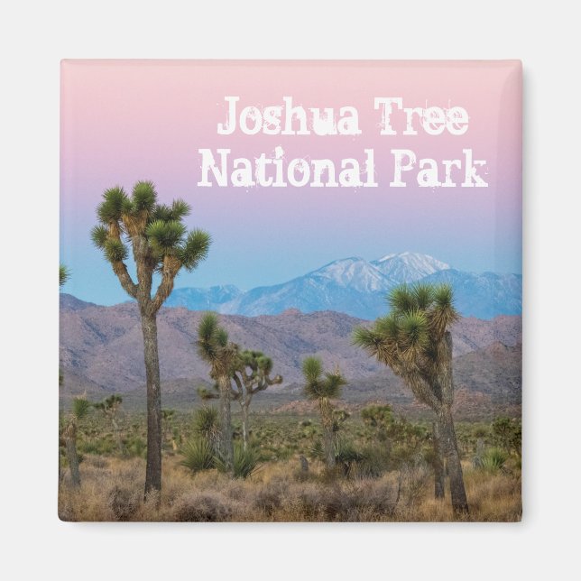 Pink Blue Joshua Tree National Park Desert Sunris Magnet (Front)