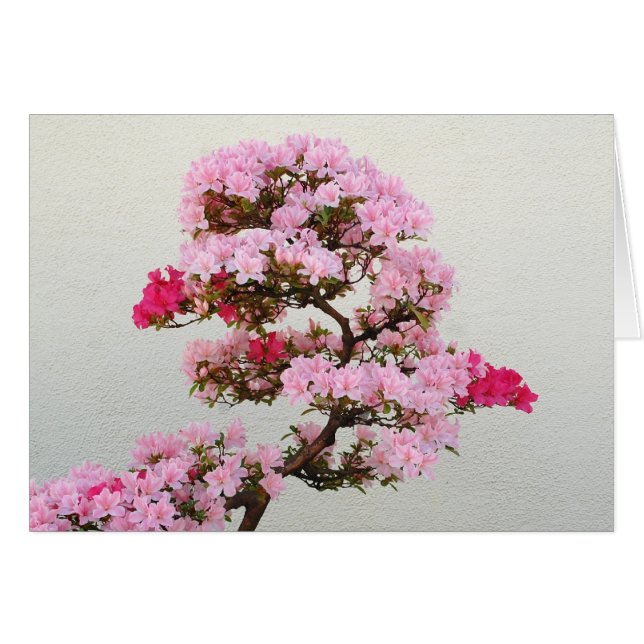 Pink Bonsai Tree (Front Horizontal)