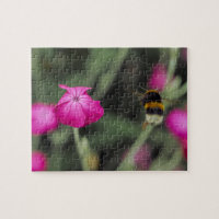 Pink Botanical Flower And Bee Nature Photography