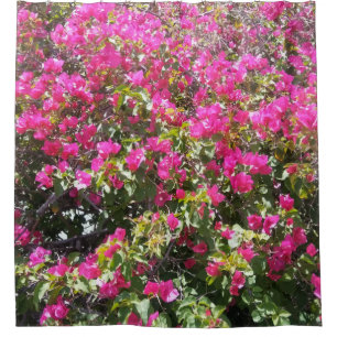 Pink Bougainvillea Bush Print Shower Curtain