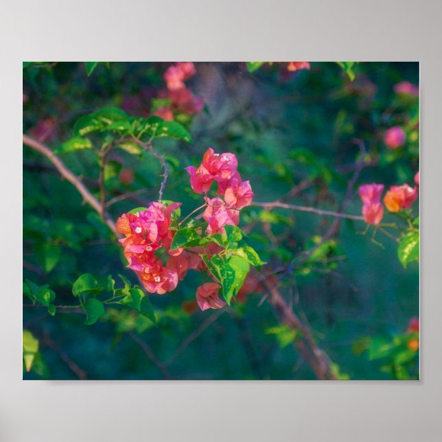 Pink Bougainvillea Flower Photography Wall Art Pos (Front)
