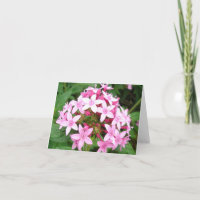 Pink bouquet v2