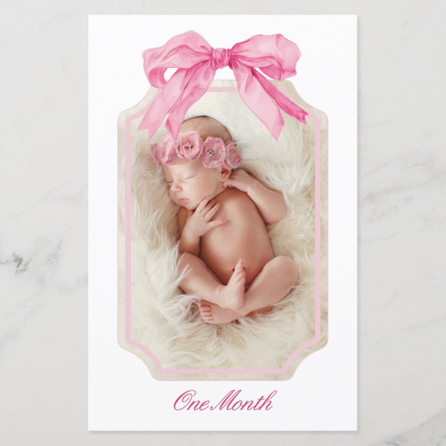 Pink Bow Fancy ONE Girl Birthday Milestone Banner  (Front)