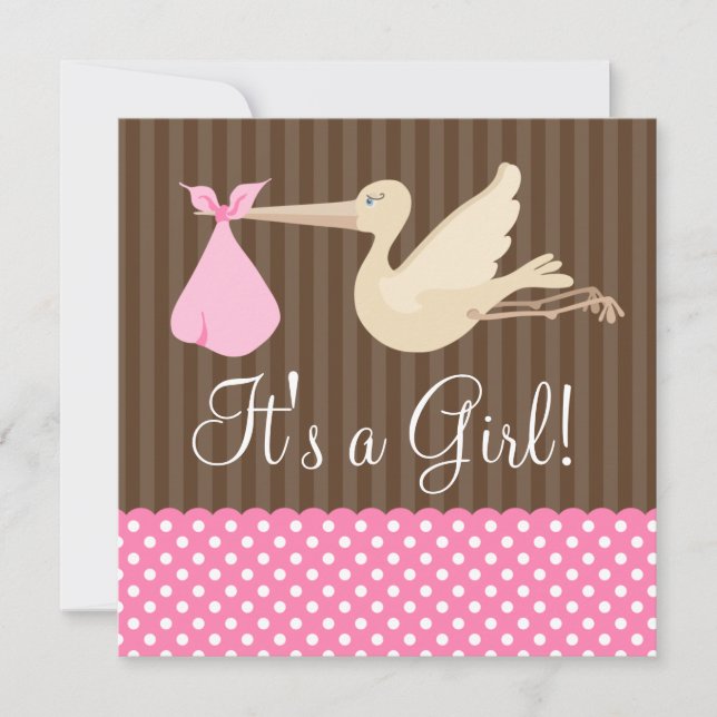 Pink Brown Stork Dots Girl Baby Shower Invitation (Front)