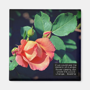 Pink Budding Rose Motivational Quote Magnet